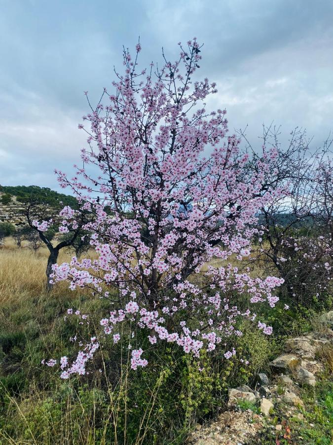 Finca Las Estrellas Relleu Bagian luar foto